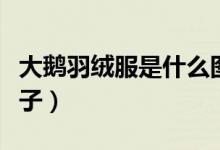 大鵝羽絨服是什么圖標（大鵝羽絨服是什么牌子）