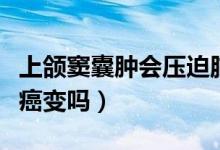 上頜竇囊腫會(huì)壓迫腦部神經(jīng)嗎（上頜竇囊腫會(huì)癌變嗎）