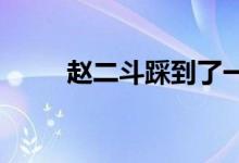 趙二斗踩到了一些法國(guó)制造的地雷