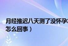 月經(jīng)推遲八天測(cè)了沒懷孕怎么辦（月經(jīng)推遲八天測(cè)了沒懷孕怎么回事）