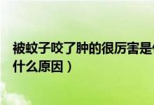 被蚊子咬了腫的很厲害是什么?。ū晃米右Я四[的很厲害是什么原因）