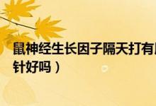 鼠神經(jīng)生長因子隔天打有用嗎（鼠神經(jīng)生長因子隔一天打一針好嗎）