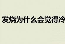 發(fā)燒為什么會(huì)覺得冷（發(fā)燒為什么會(huì)渾身疼）