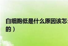 白細胞低是什么原因該怎么治療（白細胞低是什么原因引起的）