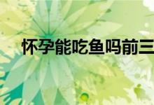 懷孕能吃魚嗎前三個(gè)月（懷孕能吃魚嗎）