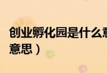 創(chuàng)業(yè)孵化園是什么意思?。▌?chuàng)業(yè)孵化園是什么意思）