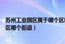 蘇州工業(yè)園區(qū)屬于哪個區(qū)哪個街道（蘇州工業(yè)園區(qū)屬于哪個區(qū)哪個街道）