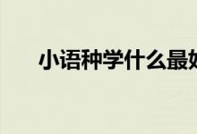 小語種學什么最好（最吃香的小語種）