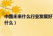 中國未來什么行業(yè)發(fā)展好（中國未來最有前景的十大行業(yè)是什么）