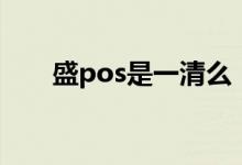 盛pos是一清么（盛pos是一清機嗎）