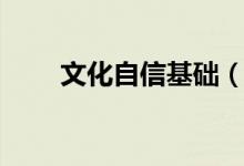 文化自信基礎（文化自信基本內(nèi)容）