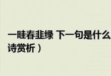 一畦春韭綠 下一句是什么（一畦春韭綠的下一句是什么及全詩(shī)賞析）