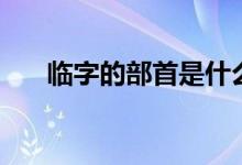 臨字的部首是什么(除去部首剩幾畫)