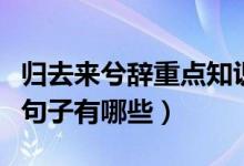 歸去來兮辭重點知識（歸去來兮辭當(dāng)中的重點句子有哪些）