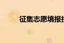 征集志愿填報技巧（流程是什么）