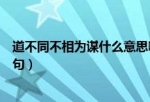 道不同不相為謀什么意思啊（道不同不相為謀什么意思下一句）