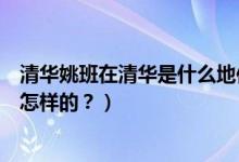 清華姚班在清華是什么地位（清華姚班是什么？選拔標(biāo)準(zhǔn)是怎樣的？）