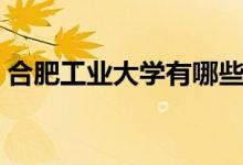 合肥工業(yè)大學(xué)有哪些專(zhuān)業(yè)（什么專(zhuān)業(yè)好就業(yè)）
