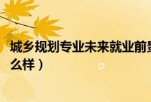 城鄉(xiāng)規(guī)劃專業(yè)未來(lái)就業(yè)前景(2022城鄉(xiāng)規(guī)劃專業(yè)就業(yè)前景怎么樣)