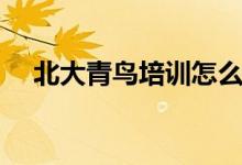 北大青鳥培訓(xùn)怎么樣（學(xué)費(fèi)一年多少錢）