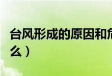 臺(tái)風(fēng)形成的原因和危害（臺(tái)風(fēng)形成的原因是什么）