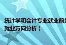統(tǒng)計(jì)學(xué)和會(huì)計(jì)專(zhuān)業(yè)就業(yè)前景（2022年統(tǒng)計(jì)學(xué)專(zhuān)業(yè)就業(yè)前景和就業(yè)方向分析）