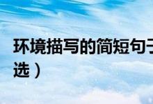 環(huán)境描寫的簡短句子大全（環(huán)境描寫的句子精選）