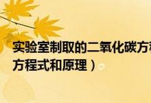 實(shí)驗(yàn)室制取的二氧化碳方程式（實(shí)驗(yàn)室制取二氧化碳的化學(xué)方程式和原理）