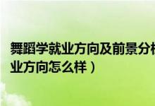 舞蹈學(xué)就業(yè)方向及前景分析（2022舞蹈學(xué)專(zhuān)業(yè)就業(yè)前景和就業(yè)方向怎么樣）