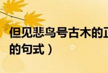 但見悲鳥號古木的正確語序（但見悲鳥號古木的句式）