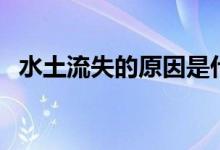 水土流失的原因是什么（有哪些防治對策）