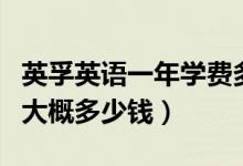 英孚英語(yǔ)一年學(xué)費(fèi)多少錢(qián)（英孚英語(yǔ)一年費(fèi)用大概多少錢(qián)）