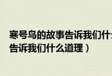 寒號(hào)鳥(niǎo)的故事告訴我們什么道理用一句名言（寒號(hào)鳥(niǎo)的故事告訴我們什么道理）