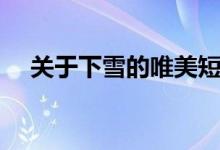 關(guān)于下雪的唯美短句(有意境的短句子)