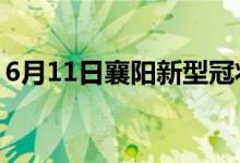 6月11日襄陽(yáng)新型冠狀病毒肺炎疫情最新消息