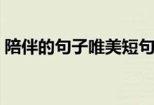 陪伴的句子唯美短句（陪你一起看細水長流）
