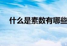 什么是素數(shù)有哪些（什么是素數(shù)有哪些）