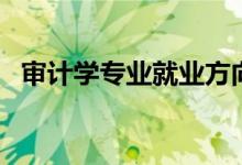 審計學(xué)專業(yè)就業(yè)方向有哪些（前景好不好）