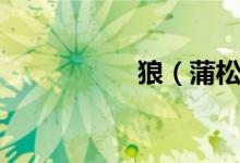 狼(蒲松齡原文翻譯)