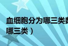 血細胞分為哪三類數(shù)量最多的是（血細胞分為哪三類）