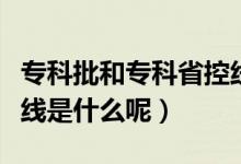 ?？婆蛯？剖】鼐€是什么意思（?？婆】鼐€是什么呢）