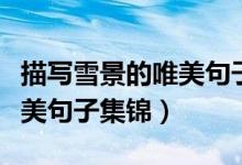 描寫雪景的唯美句子表達情感（描寫雪景的唯美句子集錦）