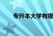 專升本大學(xué)有哪些（專升本怎么考）