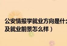 公安情報學就業(yè)方向是什么（2022公安情報學專業(yè)就業(yè)方向及就業(yè)前景怎么樣）