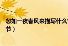 忽如一夜春風(fēng)來描寫什么節(jié)氣（忽如一夜春風(fēng)來描寫什么季節(jié)）