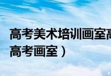 高考美術(shù)培訓(xùn)畫室高考畫室(美術(shù)生如何選擇高考畫室)