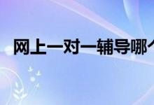 網(wǎng)上一對一輔導(dǎo)哪個平臺靠譜（怎么選擇）