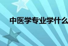 中醫(yī)學專業(yè)學什么（可以從事什么工作）