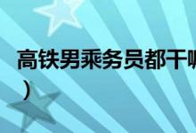 高鐵男乘務員都干嘛（男生做高鐵乘務好不好）