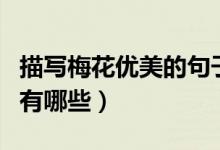 描寫(xiě)梅花優(yōu)美的句子是（描寫(xiě)梅花的優(yōu)美語(yǔ)句有哪些）